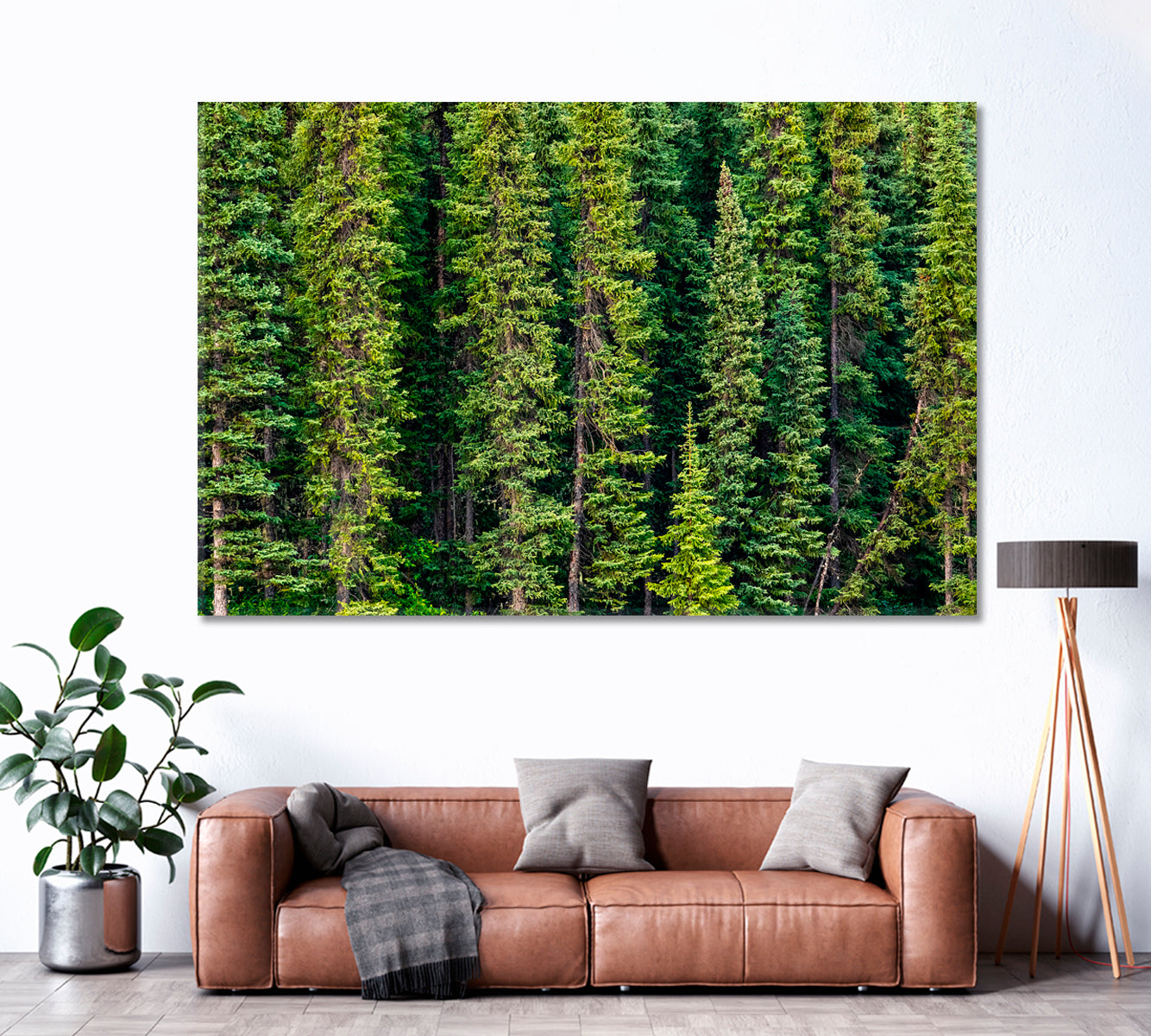 Tongass National Forest Alaska Canvas Print ArtLexy 1 Panel 24"x16" inches 