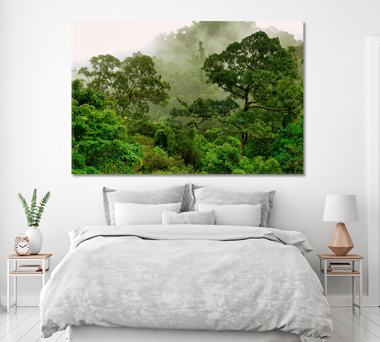 Rainforest Queensland Australia Canvas Print ArtLexy   