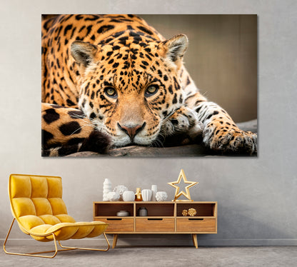 Beautiful Jaguar Canvas Print ArtLexy 1 Panel 24"x16" inches 