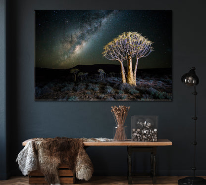 Milky Way over Quiver Tree Forest South Africa Canvas Print ArtLexy 1 Panel 24"x16" inches 
