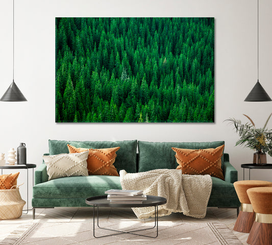 Carpathians Coniferous Forest Canvas Print ArtLexy   