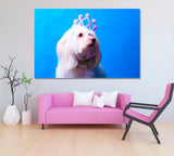 Maltese Dog with Crown Canvas Print ArtLexy 1 Panel 24"x16" inches 