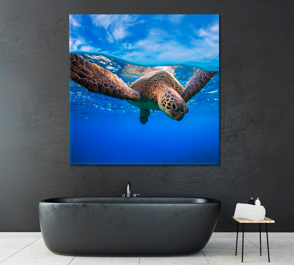 Sea Turtle Underwater Canvas Print ArtLexy   