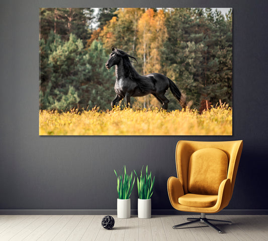 Beautiful Friesian Stallion on Autumn Meadow Canvas Print ArtLexy 1 Panel 24"x16" inches 