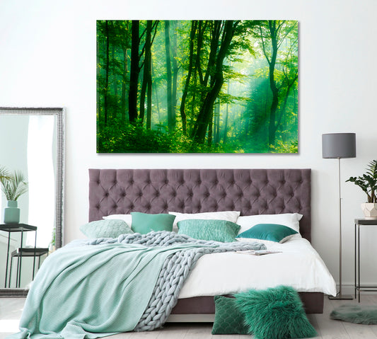 Sunlight In Green Foggy Forest Canvas Print ArtLexy 1 Panel 24"x16" inches 