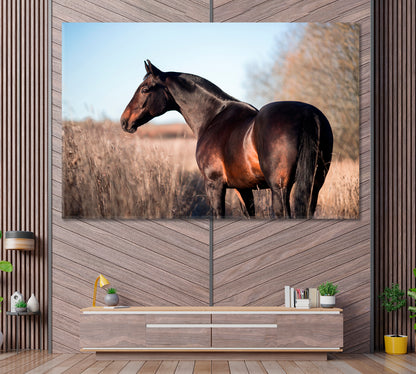 Brown Horse in Field Canvas Print ArtLexy 1 Panel 24"x16" inches 