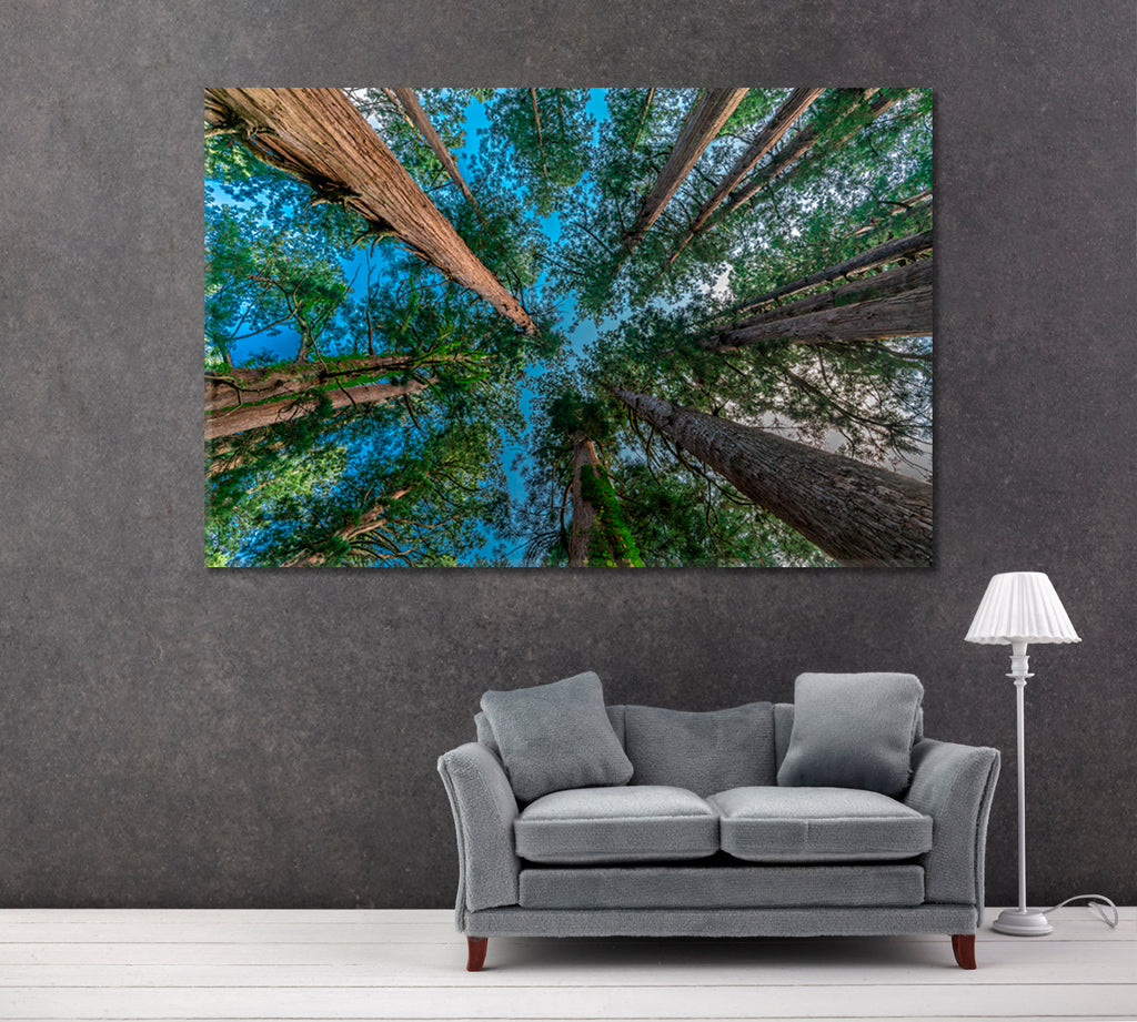 Japanese Cedar Forest at Mount Haguro Canvas Print ArtLexy 1 Panel 24"x16" inches 