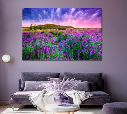 Lavender Field Tihany Hungary Canvas Print ArtLexy   