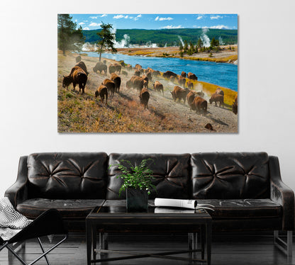 Herd of Bison in Yellowstone National Park Canvas Print ArtLexy   