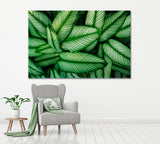 Tropical Green Leaves Canvas Print ArtLexy 1 Panel 24"x16" inches 