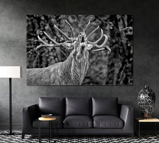 Portrait of Red Deer in Black and White Canvas Print ArtLexy 1 Panel 24"x16" inches 