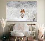 Red Fox in Winter Forest