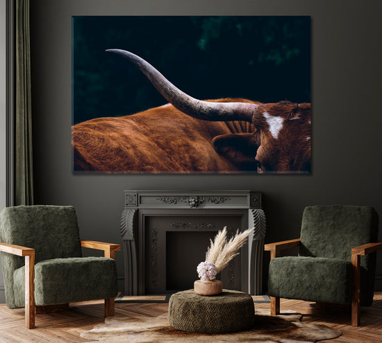 Texas Longhorn Cow – ArtLexy