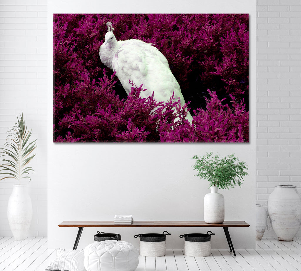 White Peacock Canvas Print ArtLexy 1 Panel 24"x16" inches 