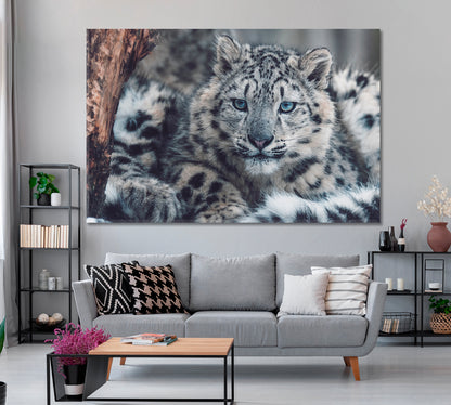Snow Leopard Portrait Canvas Print ArtLexy 1 Panel 24"x16" inches 