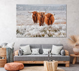 Scottish Highlanders Cows Canvas Print ArtLexy 1 Panel 24"x16" inches 