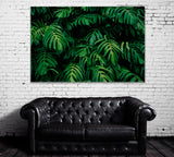 Green Leaves of Monstera Philodendron Plant Canvas Print ArtLexy 1 Panel 24"x16" inches 