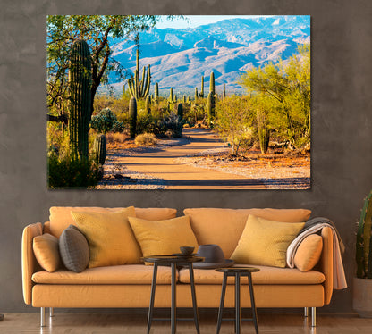 Saguaro National Park Arizona USA Canvas Print ArtLexy 1 Panel 24"x16" inches 