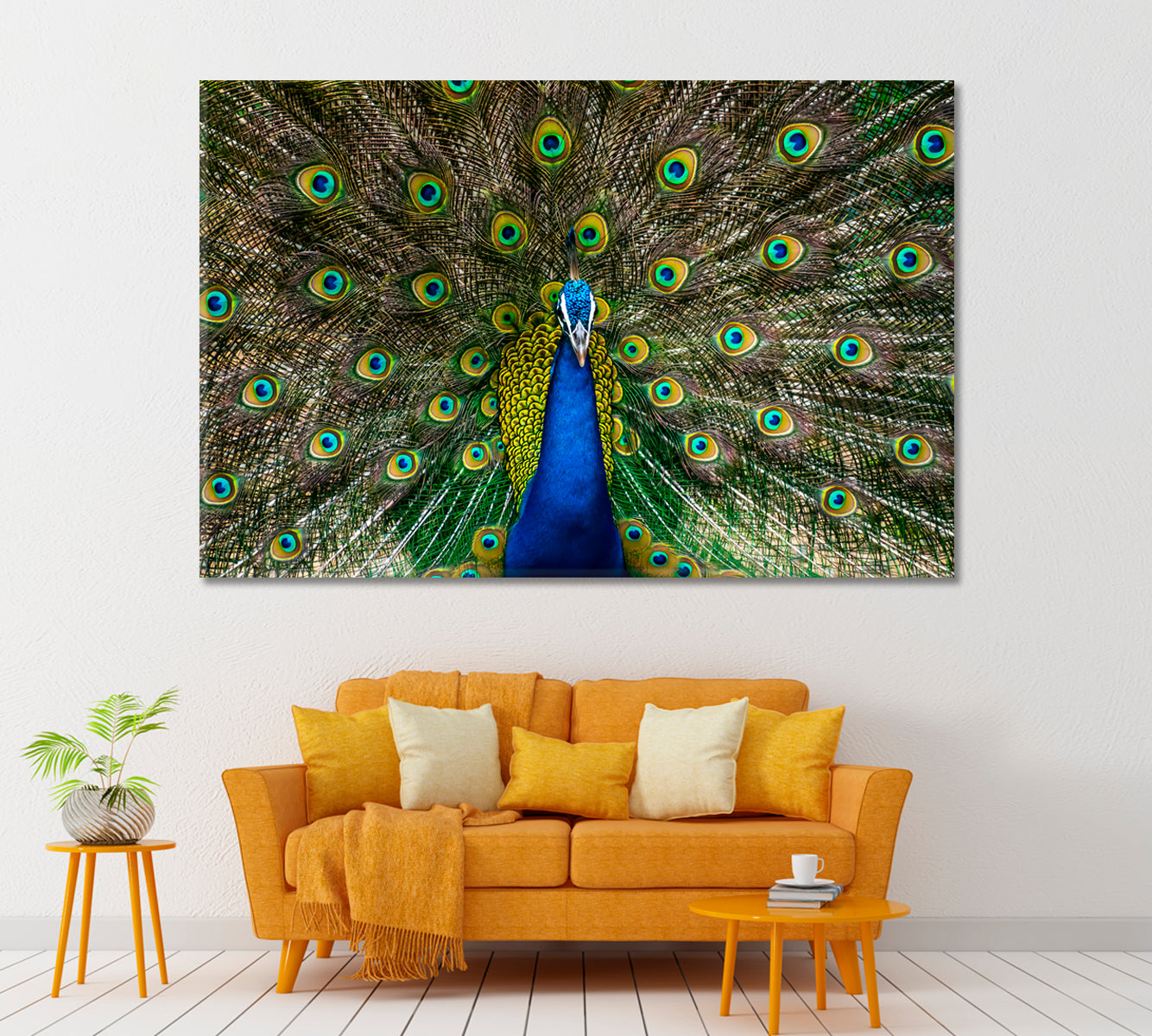 Peacock Showing Bright Feathers Canvas Print ArtLexy 1 Panel 24"x16" inches 