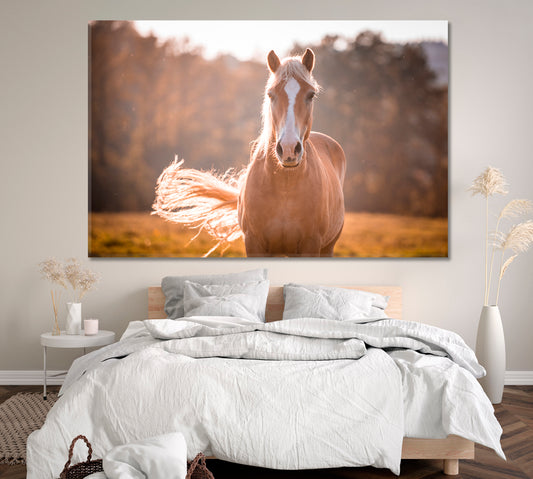 Beautiful Haflinger Horse Canvas Print ArtLexy 1 Panel 24"x16" inches 