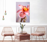 Blooming Tulip Canvas Print ArtLexy   