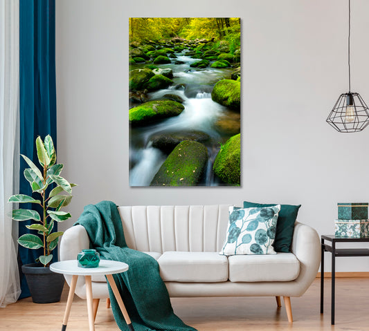 Stream with Rocks and Moss Canvas Print ArtLexy 1 Panel 16"x24" inches 