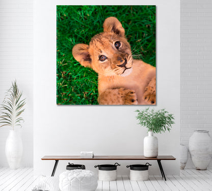 Little Lion Cub Canvas Print ArtLexy   