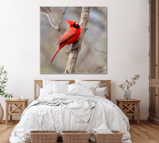 Red Northern Cardinal Bird Canvas Print ArtLexy 1 Panel 12"x12" inches 
