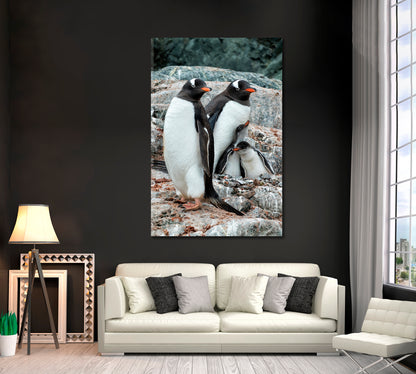 Gentoo Penguin Family Canvas Print ArtLexy   