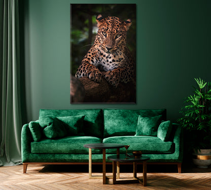 Ceylon Leopard Canvas Print ArtLexy   