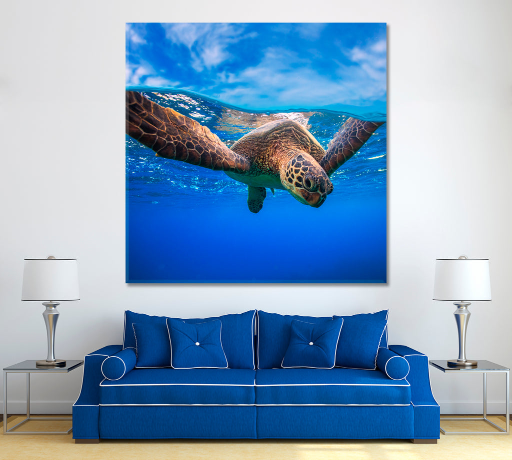 Sea Turtle Underwater Canvas Print ArtLexy   
