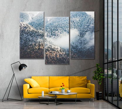 Winter Forest with Fog Canvas Print ArtLexy   