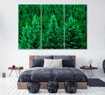 Pine Forest Canvas Print ArtLexy 3 Panels 36"x24" inches 
