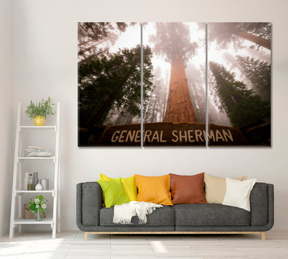 General Sherman Tree California Canvas Print ArtLexy 3 Panels 36"x24" inches 