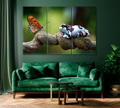 Amazing Amazon Milk Frog with Butterfly Canvas Print ArtLexy 3 Panels 36"x24" inches 