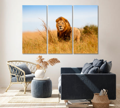 Wild Lion in Kenya Canvas Print ArtLexy 3 Panels 36"x24" inches 