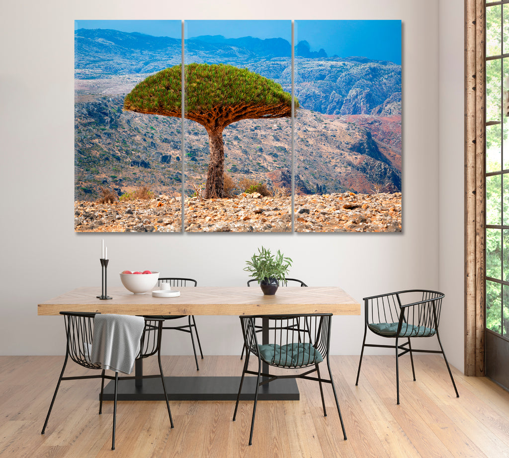 Dragon Tree Socotra Yemen Canvas Print ArtLexy 3 Panels 36"x24" inches 