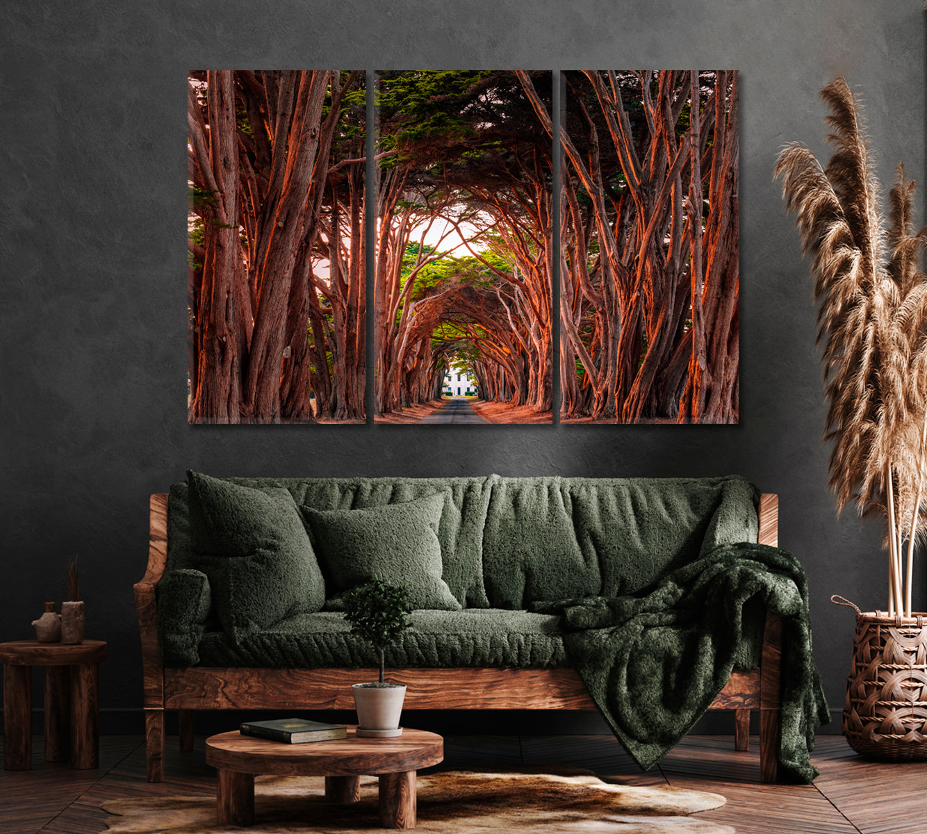Cypress Tree Tunnel at Point Reyes National Seashore California Canvas Print ArtLexy   
