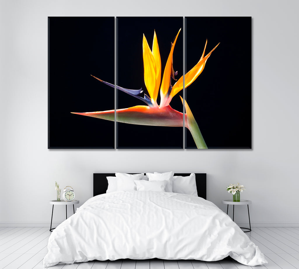 Strelitzia Bird of Paradise Flower Canvas Print ArtLexy 3 Panels 36"x24" inches 
