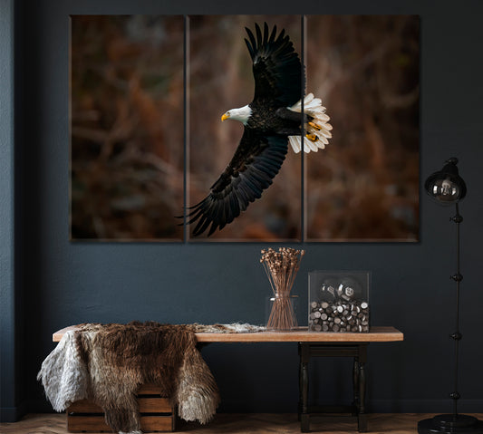 Flight of Bald Eagle in Maryland Canvas Print ArtLexy 3 Panels 36"x24" inches 