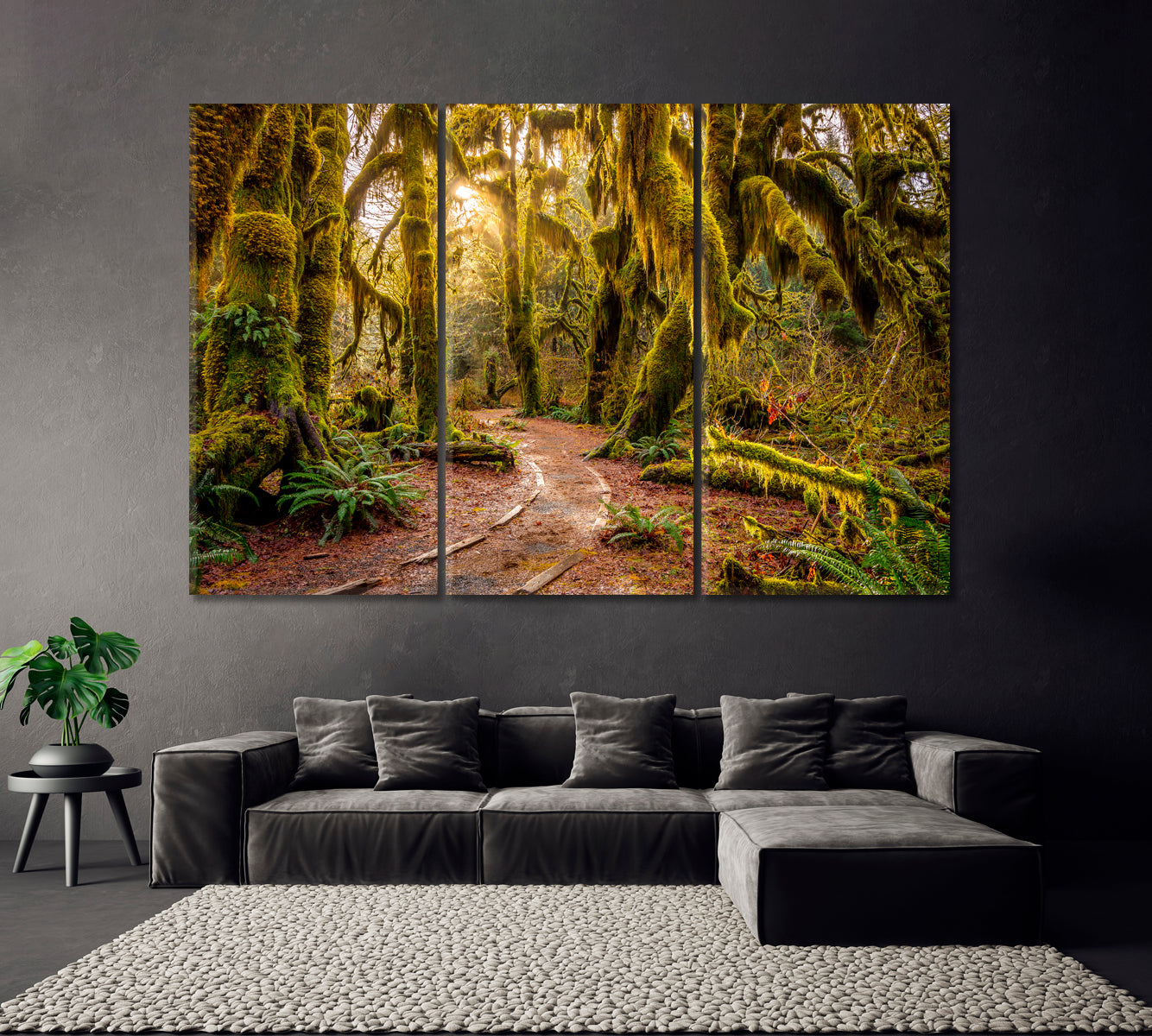 Hoh Rainforest Canvas Print ArtLexy 3 Panels 36"x24" inches 