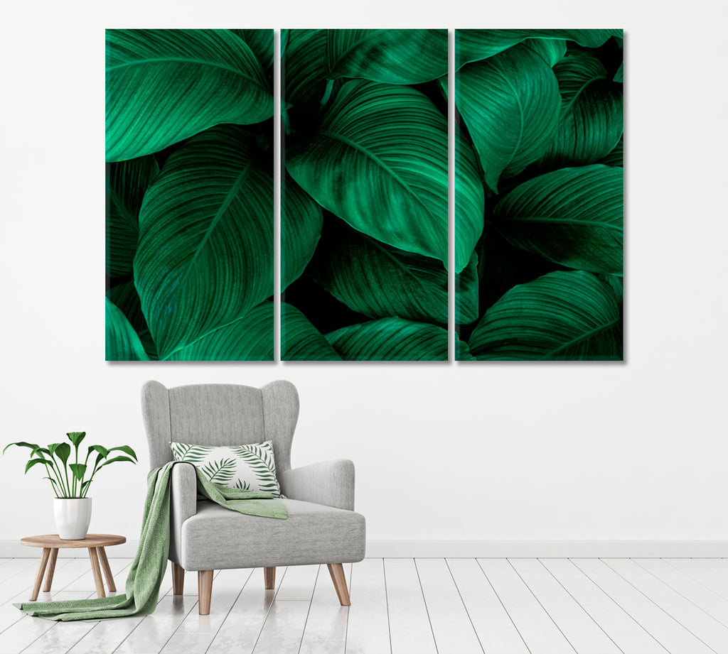 Leaves of Spathiphyllum Cannifolium Canvas Print ArtLexy 3 Panels 36"x24" inches 