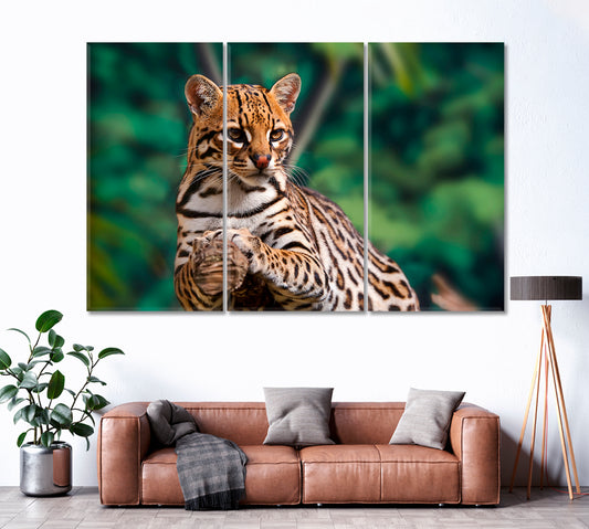 Ocelot Leopardus Pardalis Canvas Print ArtLexy 3 Panels 36"x24" inches 