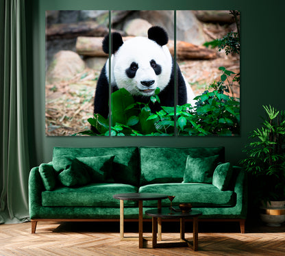 Giant Panda Forest Singapore Canvas Print ArtLexy 3 Panels 36"x24" inches 