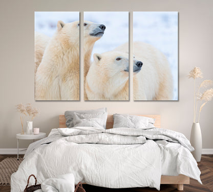 Two Polar Bear Canvas Print ArtLexy   