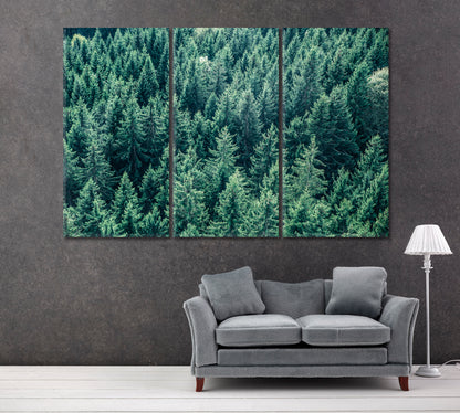 Fir Forest Canvas Print ArtLexy 3 Panels 36"x24" inches 