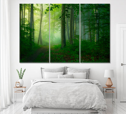 Foggy Forest in Morning Canvas Print ArtLexy 3 Panels 36"x24" inches 