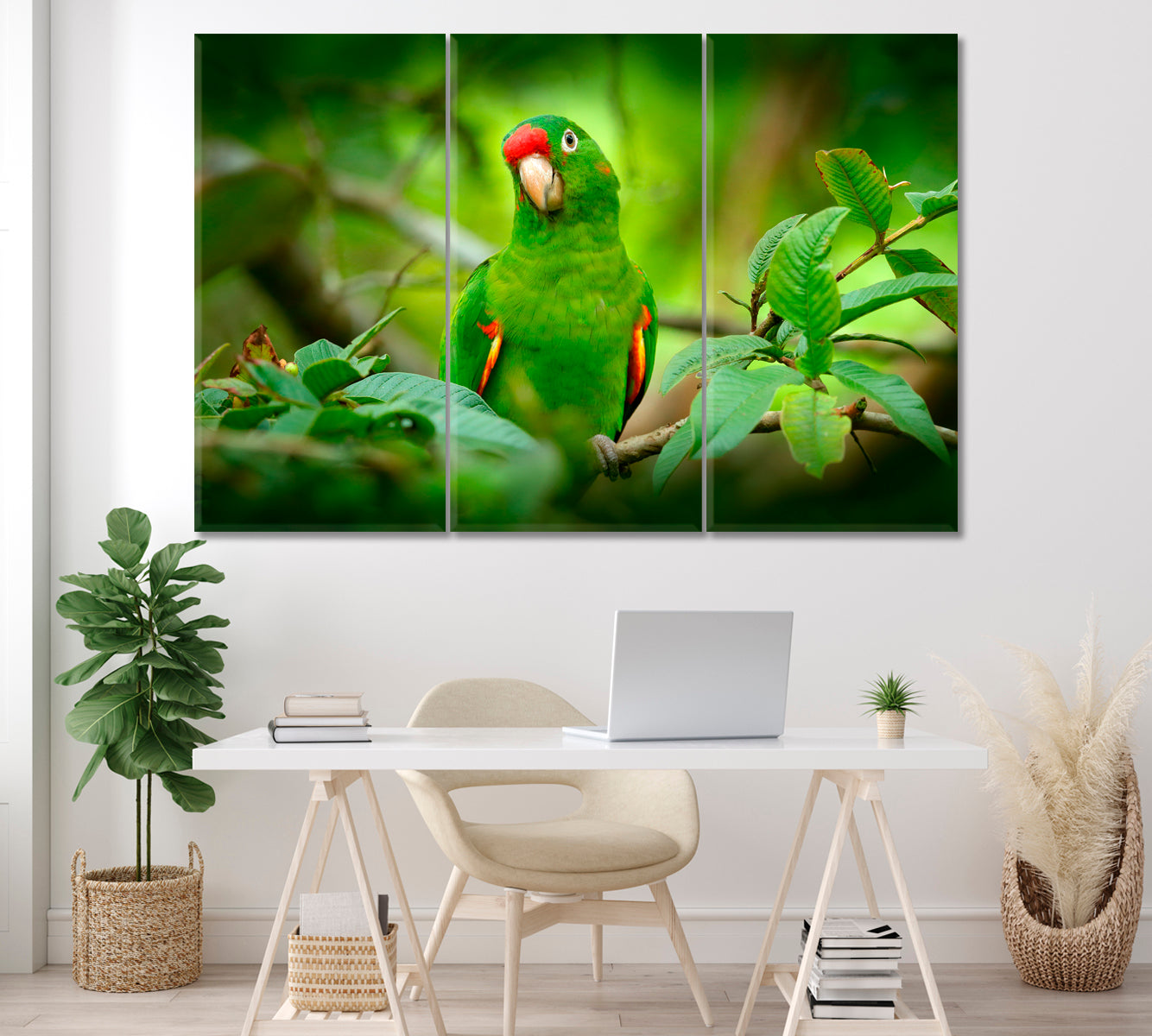 Green Parrot (Crimson-Fronted Parakeet) Costa Rica Canvas Print ArtLexy 3 Panels 36"x24" inches 