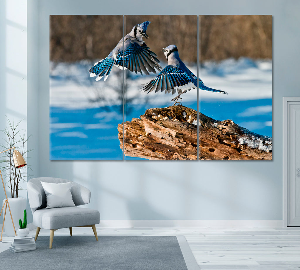 Blue Jay Birds Canvas Print ArtLexy 3 Panels 36"x24" inches 