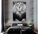 Stern Lion Canvas Print ArtLexy   